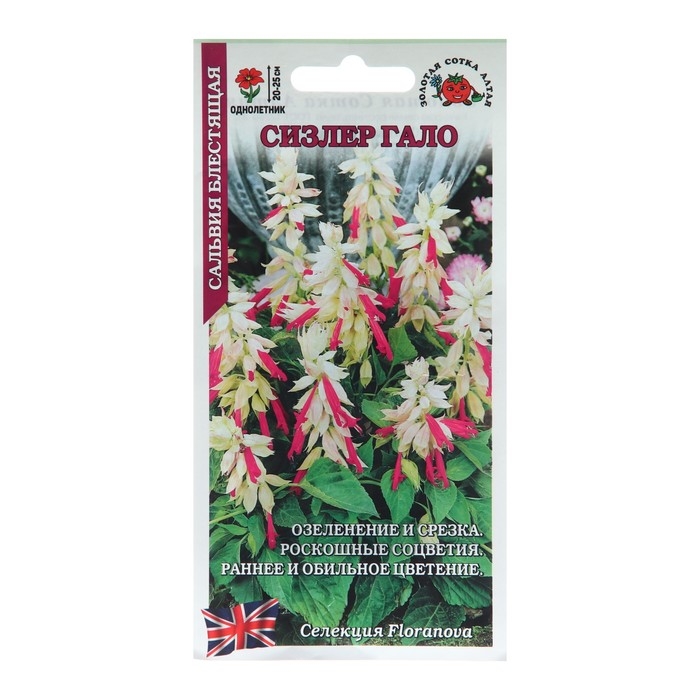 Семена цветов Сальвия  Семена цветов Сальвия "Сизлер Гало", 10 шт