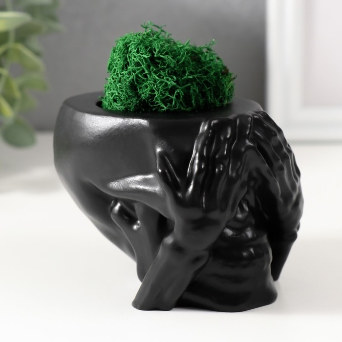 Кашпо бетонное  Кашпо бетонное "Череп Прятки" со мхом 7х10 см черный (мох зеленый стабилизированный)