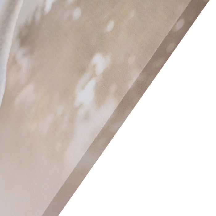 Картина Картина "Лебеди" 50*70 см