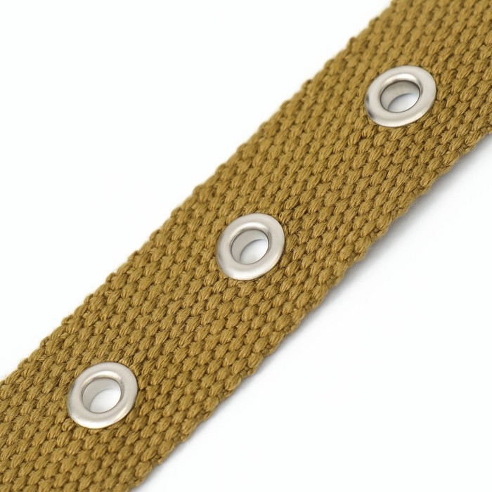 Ошейник брезентовый однослойный, 58 х 2,5 см, песочный Ошейник брезентовый однослойный, 58 х 2,5 см, песочный