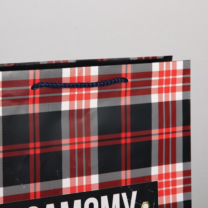 Пакет подарочный ламинированный, упаковка, Real strong, L 28 х 38 х 9 см Пакет подарочный ламинированный, упаковка, Real strong, L 28 х 38 х 9 см