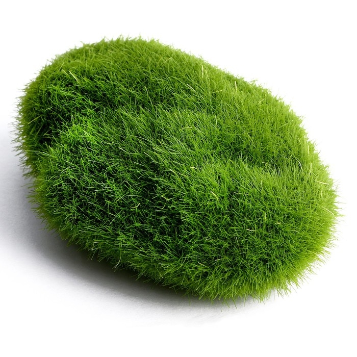 Основа для творчества «Камень со мхом» набор 2 шт., размер 1 шт. — 7 × 2 × 4,5 см Основа для творчества «Камень со мхом» набор 2 шт., размер 1 шт. — 7 × 2 × 4,5 см