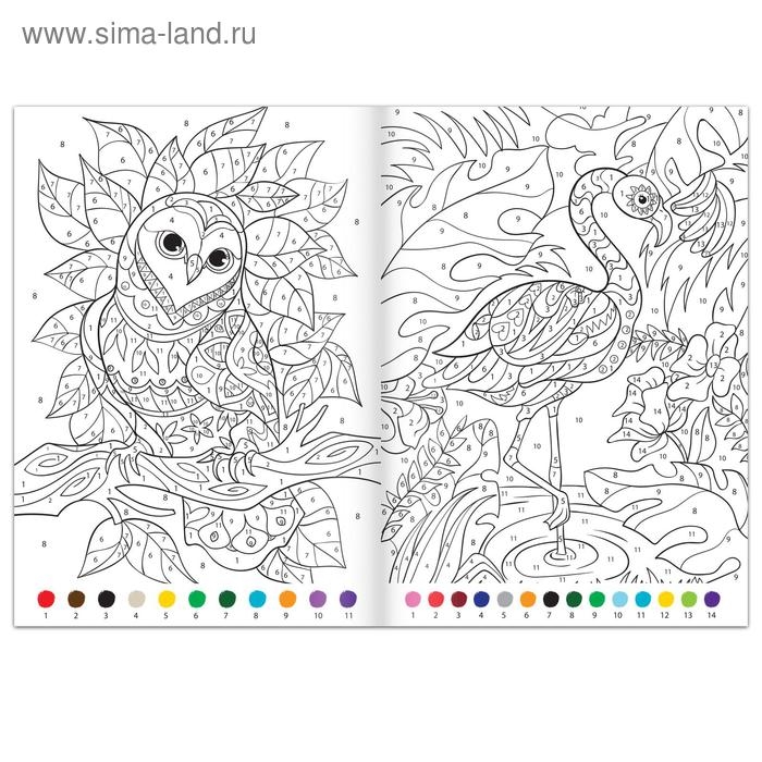 Раскраска по номерам «Удивительный мир», 16 стр., формат А4 Раскраска по номерам «Удивительный мир», 16 стр., формат А4