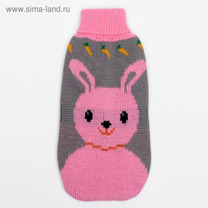 Свитер, размер 10 (ДС 30-45, ОШ 16-31, ОГ 30-45 см), микс расцветок Свитер, размер 10 (ДС 30-45, ОШ 16-31, ОГ 30-45 см), микс расцветок