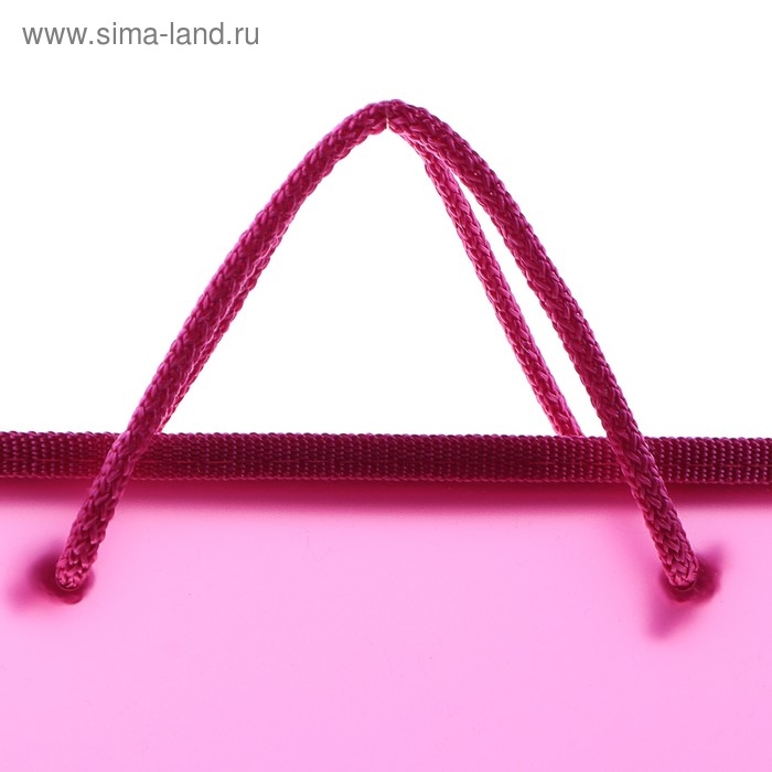 Папка с ручками А4, 230 х 185 х 25 мм, молния вокруг, пластиковая, ПТ-112, Папка с ручками А4, 230 х 185 х 25 мм, молния вокруг, пластиковая, ПТ-112, "Офис", тонированная, цвет розовый