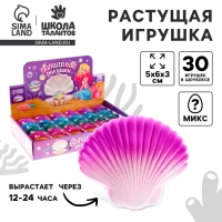 Растущие игрушки «Волшебные ракушки», МИКС