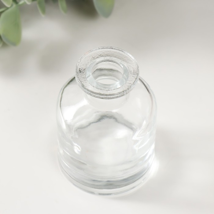 Диффузор для эфирных масел Диффузор для эфирных масел "Бутылёк" 50 мл прозрачный 4,8х4,8х7 см