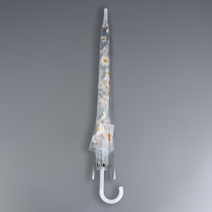 Зонт - трость полуавтоматический «Ромашка», 8 спиц, R = 45/55 см, D = 110 см, цвет прозрачный/белый Зонт - трость полуавтоматический «Ромашка», 8 спиц, R = 45/55 см, D = 110 см, цвет прозрачный/белый