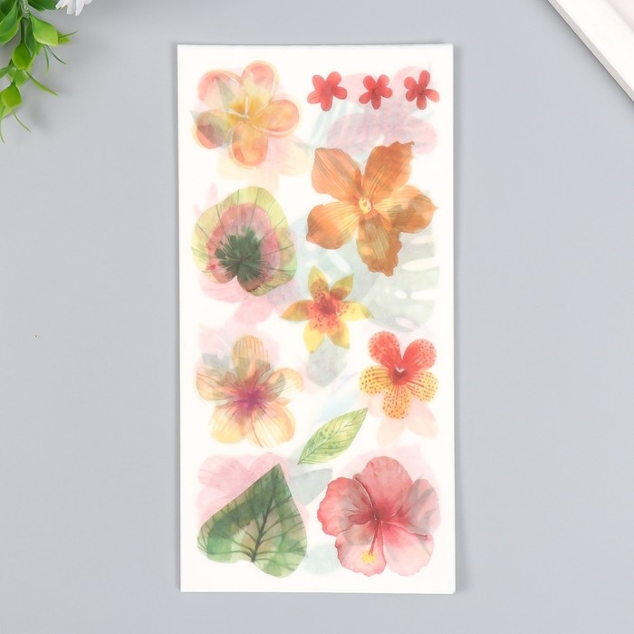 Наклейки Наклейки "Тропическое настроение" набор 3 листа 10х20 см