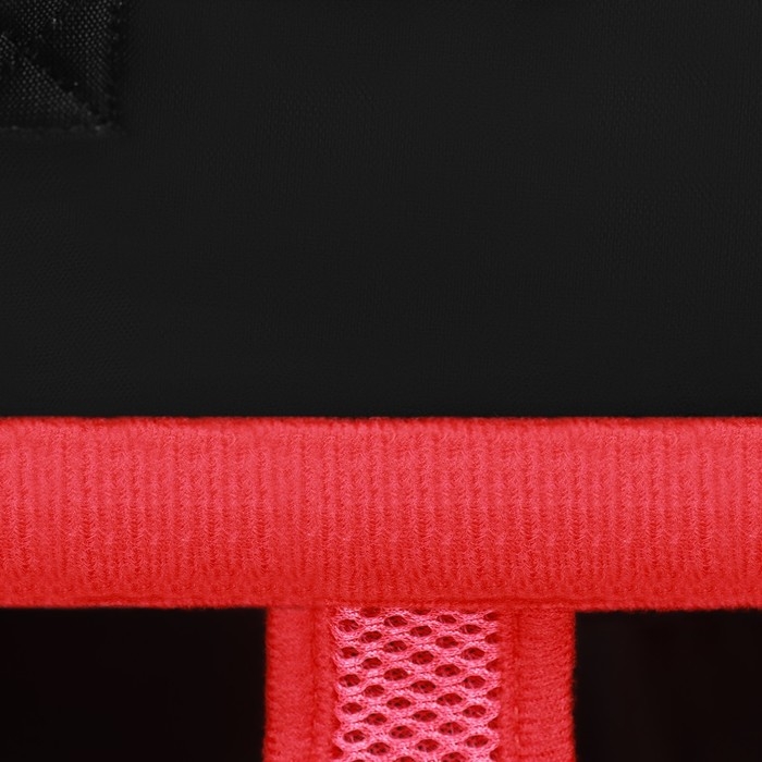 Рюкзак-переноска для кошек и собак  Рюкзак-переноска для кошек и собак "Кенгуру", 35 х 25 х 20 см, размер S, красный