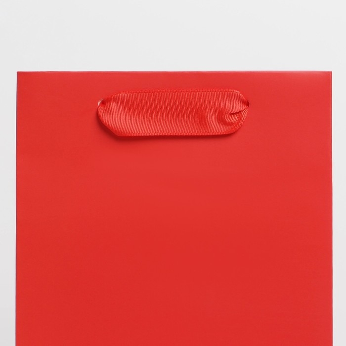 Пакет подарочный под бутылку, упаковка, «Красный», 13 x 36 x 10 см Пакет подарочный под бутылку, упаковка, «Красный», 13 x 36 x 10 см