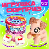 Игрушка-сюрприз «Мечты сбываются», МИКС