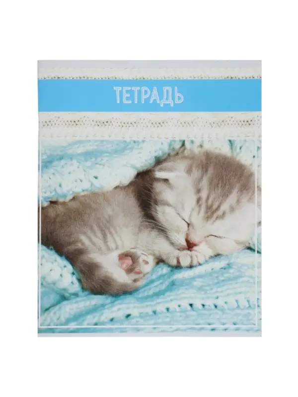 Тетрадь 36 листов в клетку, Calligrata &laquo;Кошки&raquo;, МИКС