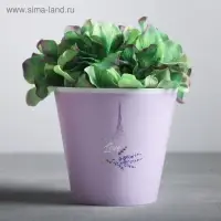 Кашпо для цветов «Лаванда», 0,8 л, 11 х 12 см Кашпо для цветов «Лаванда», 0,8 л, 11 х 12 см