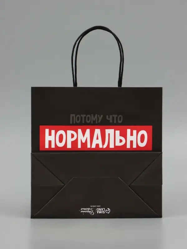 Пакет подарочный новогодний &laquo;Нормально надо отвечать&raquo;, 22&times;22&times;11 см