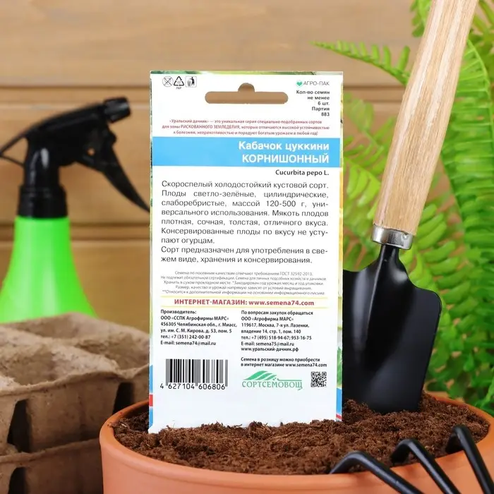 Семена Кабачок  Семена Кабачок "Корнишонный", 6 шт.