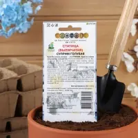 Набор семян Статица "Суприм голубая", 5 шт. Набор семян Статица "Суприм голубая", 5 шт.