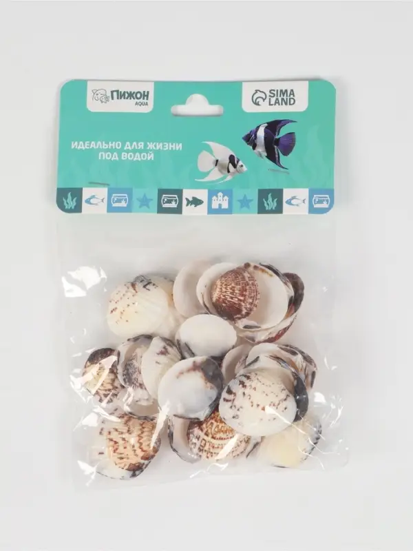 Набор ракушек, 2.5 - 4 см, 100 г