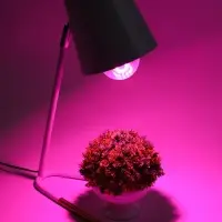 Фитолампа для растений VKL Electric, A65, 15 Вт, E27, IP20, красно-синий спектр