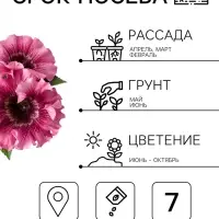 Семена цветов Петуния &laquo;Превосходнейшая Розеа&raquo; F1, 7 шт.