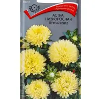 Семена цветов Астра низкорослая "Желтый ковер", 0,2 г