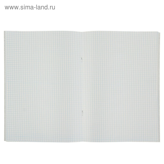 Тетрадь А4, 48 листов в клетку "Город 2", обложка мелованный картон, блок №2, белизна 75%