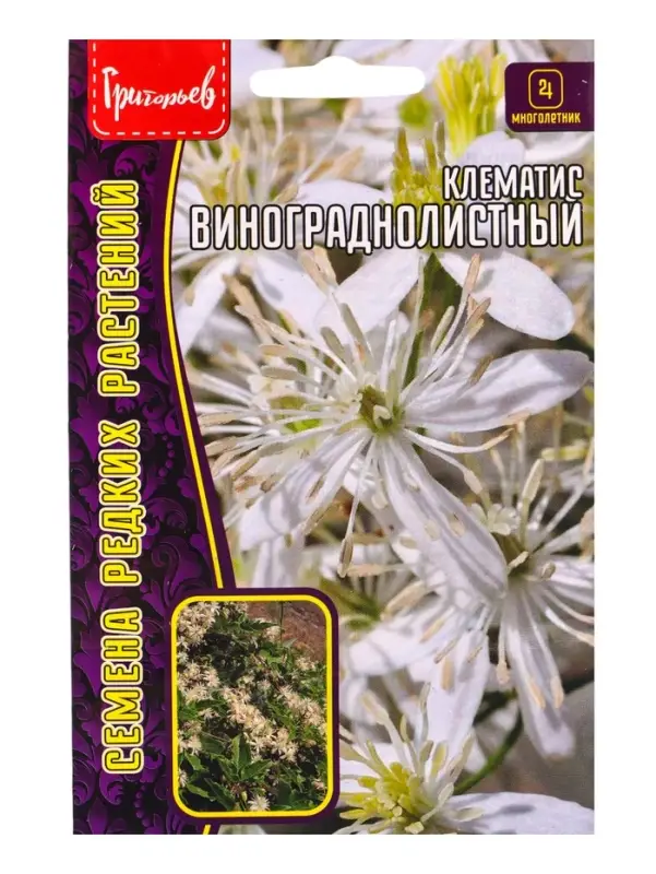 Семена цветов Клематис Винограднолистный 7 шт. 12.29 г.