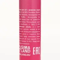 Подарочный набор новогодний Winter Fantasy, 4 бальзама и скраб для губ, URAL LAB