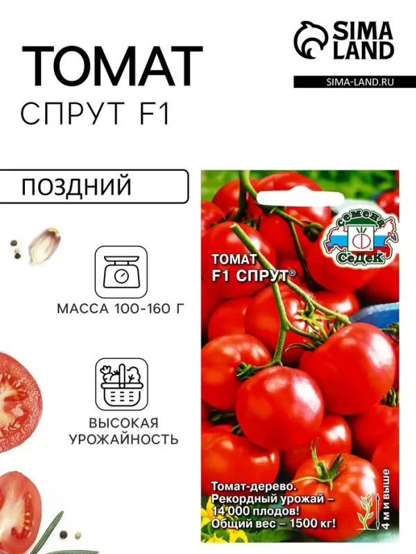 Семена Томат  "Спрут "0.03 г