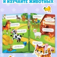Книги с наклейками многоразовыми &laquo;Изучаем животных&raquo;, набор 4 шт.