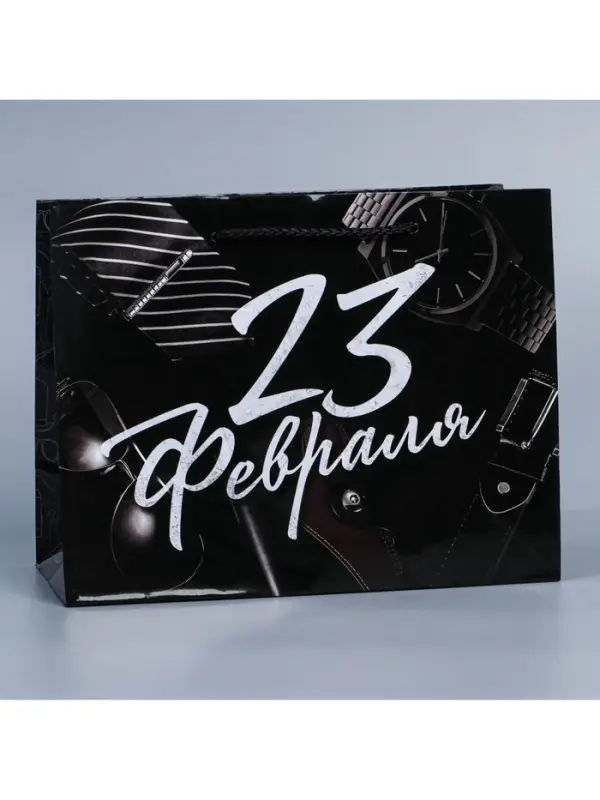 Пакет подарочный ламинированный, упаковка, &laquo;23 февраля&raquo;, MS 23&times;18&times;8 см