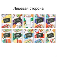 Папка школьная на кольцах «Портфолио школьника», 10 листов-разделителей, 24,5 х 32 см.