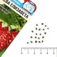 Семена Земляника &laquo;Королева Елизавета&raquo;, 10 шт.