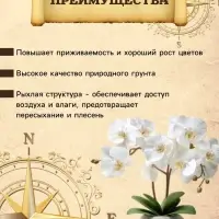 Грунт для Орхидей PETER PEAT, 5 л