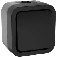 Выключатель двухполюсный одноклавишный TORS 10А IP55 графит