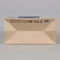 Пакет подарочный &laquo;Ломоносов&raquo;, 23&times;27&times;11.5 см