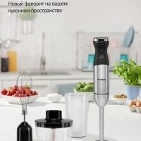 Блендер погружной HYB-H3824 800Вт серебристый
