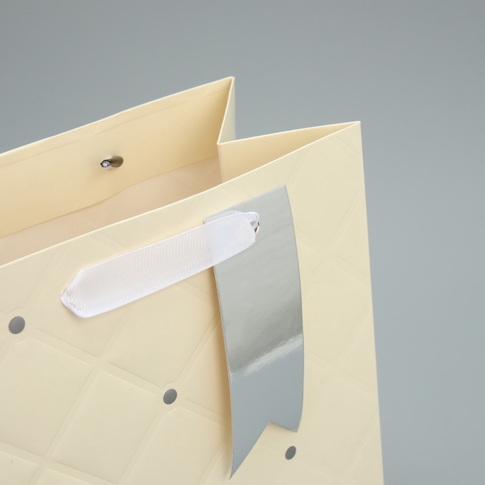 Пакет подарочный, упаковка, &laquo;Белый&raquo;, 23 х 18 х 10 см