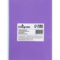 Сменный блок для тетрадей на кольцах А5, 120 листов, в клетку, Calligrata, блок офсет № 160 г/м&sup2;, белизна 100%