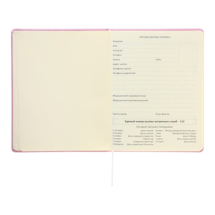 Дневник универсальный для 1-11 класса Cherry Blossom, твёрдая обложка, искусственная кожа, с поролоном, тиснение фольгой, ляссе, 80 г/м2