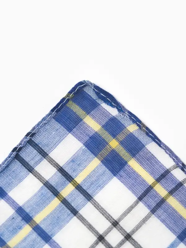 Платки носовые мужские Экономь и Я  Платки носовые мужские Экономь и Я "Квадрат" 38*38 см, (набор 10 шт), рис. МИКС,100% пэ