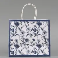Пакет подарочный &laquo;Цвети&raquo;, 25 х 22 х 12 см
