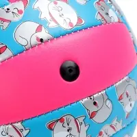 Волейбольный мяч ONLYTOP &laquo;Кошечка&raquo;, машинная сшивка, 18 панелей, р. 2, PVC