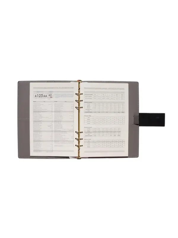 Органайзер на кольцах, А5, с хлястиком, 80л, линия, к/зам, Черный Органайзер на кольцах, А5, с хлястиком, 80л, линия, к/зам, Черный