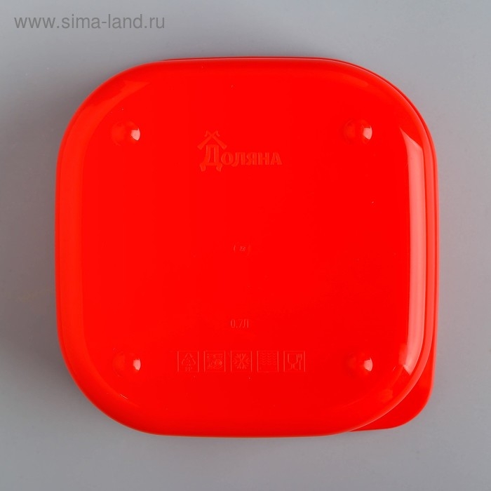 Ланч-бокс &laquo;Заряд энергии&raquo;, 700 мл