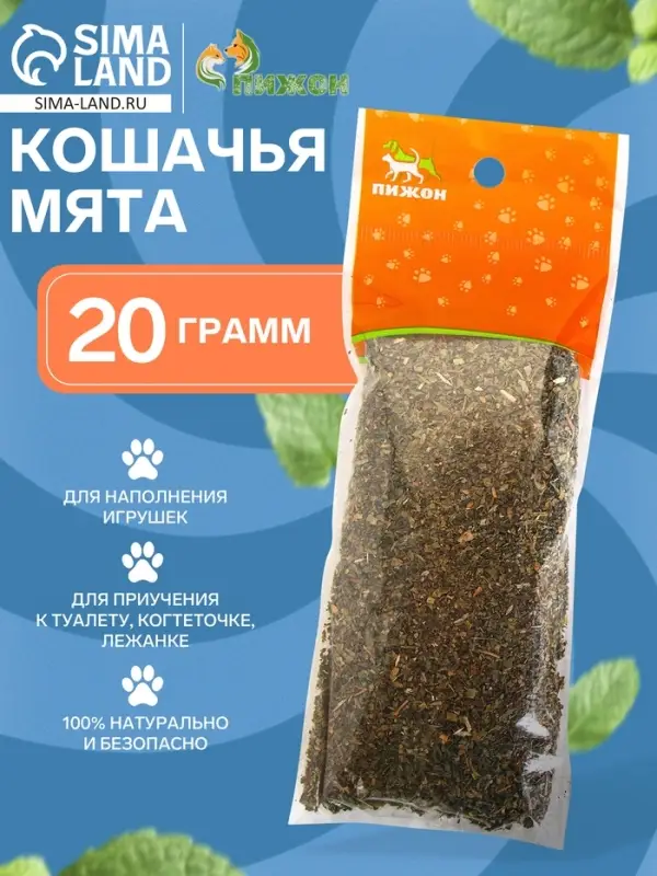 Кошачья мята &laquo;Пижон&raquo;, 20 г