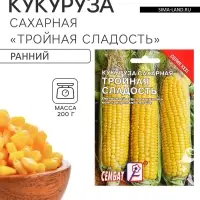 Семена Кукуруза сахарная &laquo;Тройная Сладость&raquo;, XXXL, &laquo;Сембат&raquo;, 25 г