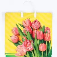 Пакет подарочный &laquo;Муза&raquo;, полиэтиленовый с пластиковой ручкой, 37&times;34 см, 80 мкм