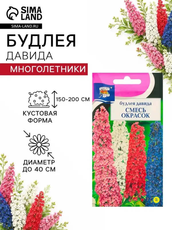 Семена цветов Будлея &laquo;Давида&raquo;, 0.01 г