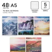 Тетради 5 штук (4 разные + 1 повторяющаяся), 48 листов в клетку &laquo;Красоты природы&raquo;, серые листы, обложка мелованная, блок №2